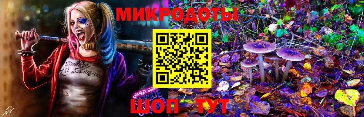 Нижний Новгород  Псилоцибиновые грибы MAGIC MUSHROOMS  Галлюциногенные грибы Psilocybe  Вход с VPN 
